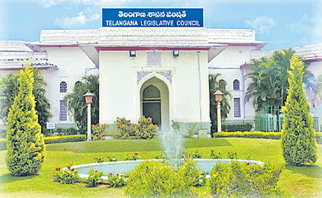LEGISLATIVE-COUNCIL--1.jpg