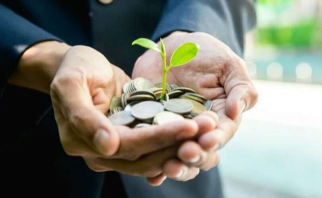 Large-Mid-cap-mutual-fund.jpg