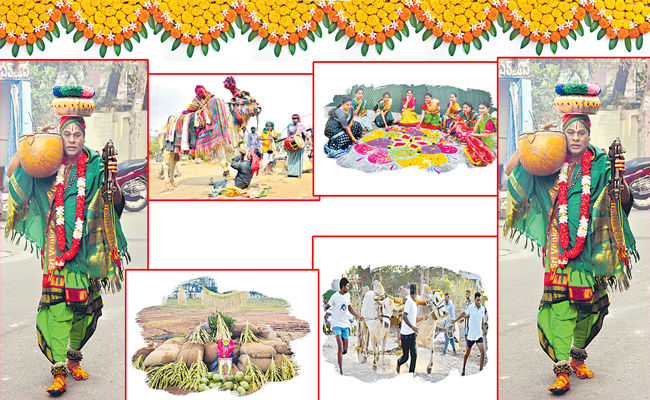 sankranti_0.jpg
