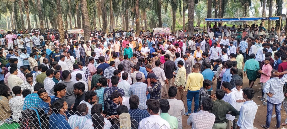 38.jpg 32