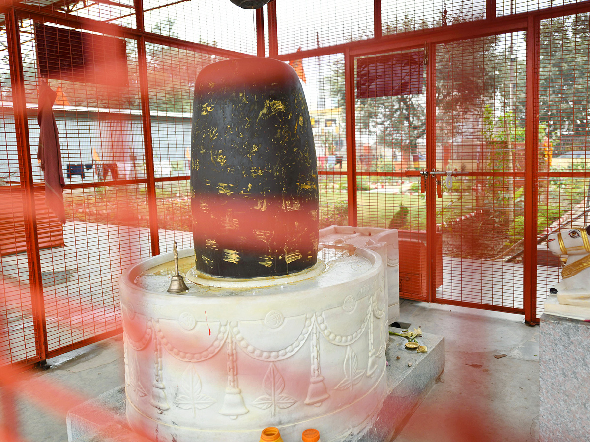 86.jpg 27