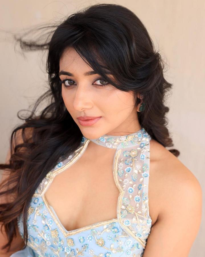 Mirna-Menon-na-samy-ranga.jpg 9