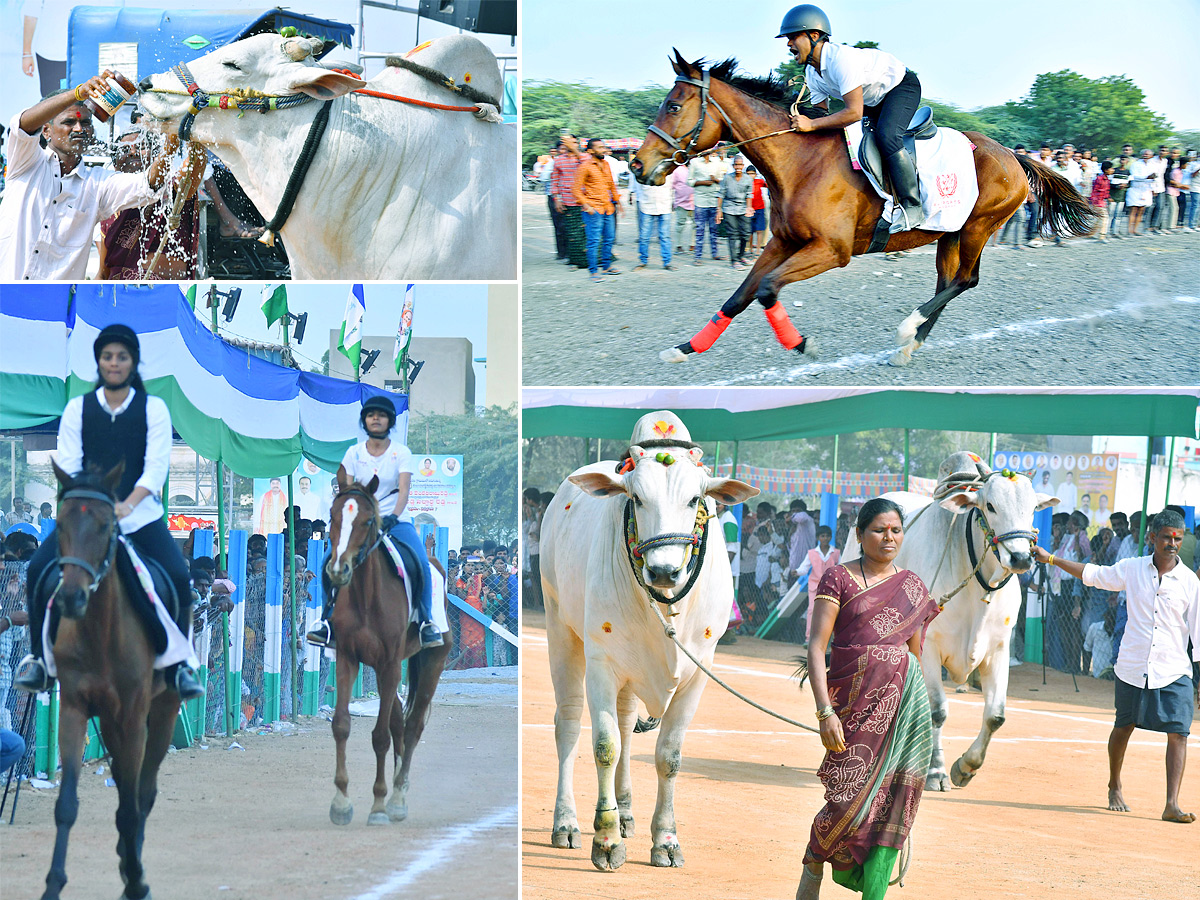 bull_20race_20in_20anantapur_20district-1.jpg 1