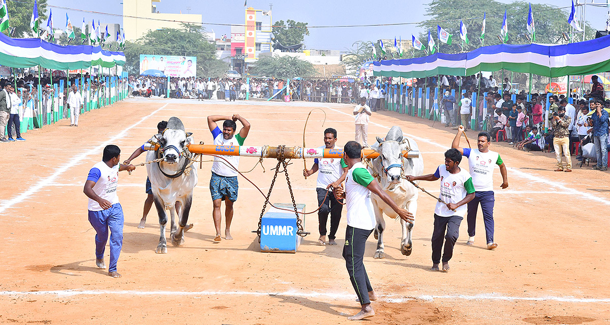 bull_20race_20in_20anantapur_20district-10.jpg 10