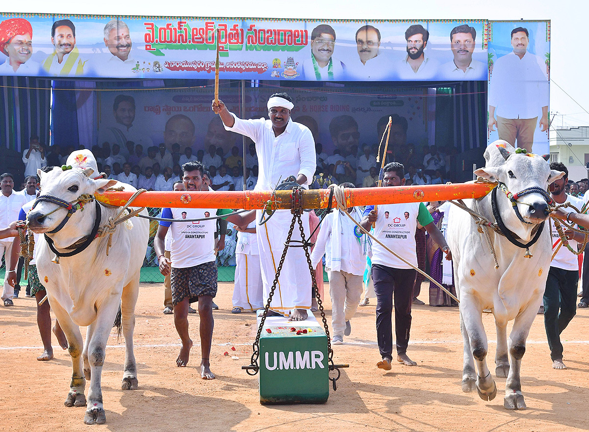 bull_20race_20in_20anantapur_20district-12.jpg 12