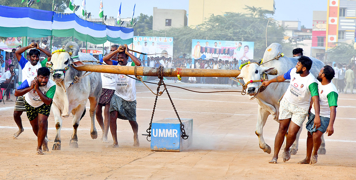 bull_20race_20in_20anantapur_20district-2.jpg 2