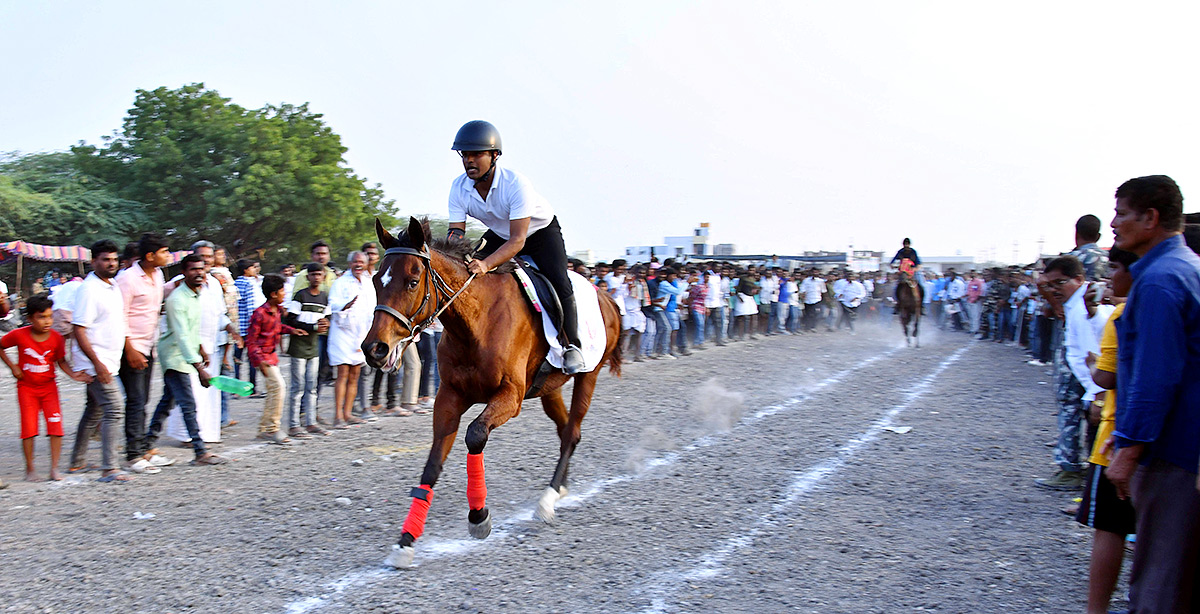 bull_20race_20in_20anantapur_20district-20.jpg 20