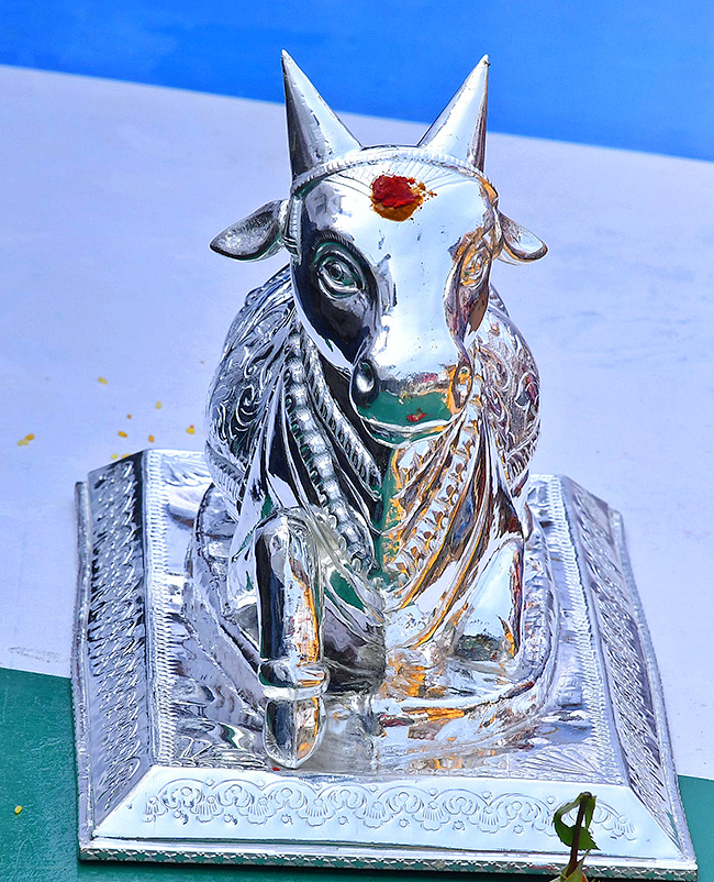 bull_20race_20in_20anantapur_20district-28.jpg 28