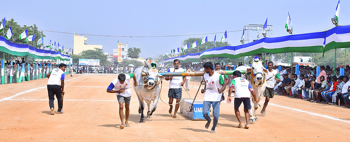 bull_20race_20in_20anantapur_20district-30.jpg 30