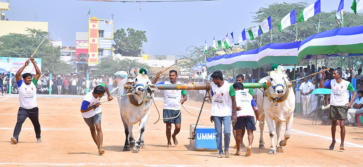 bull_20race_20in_20anantapur_20district-31.jpg 31