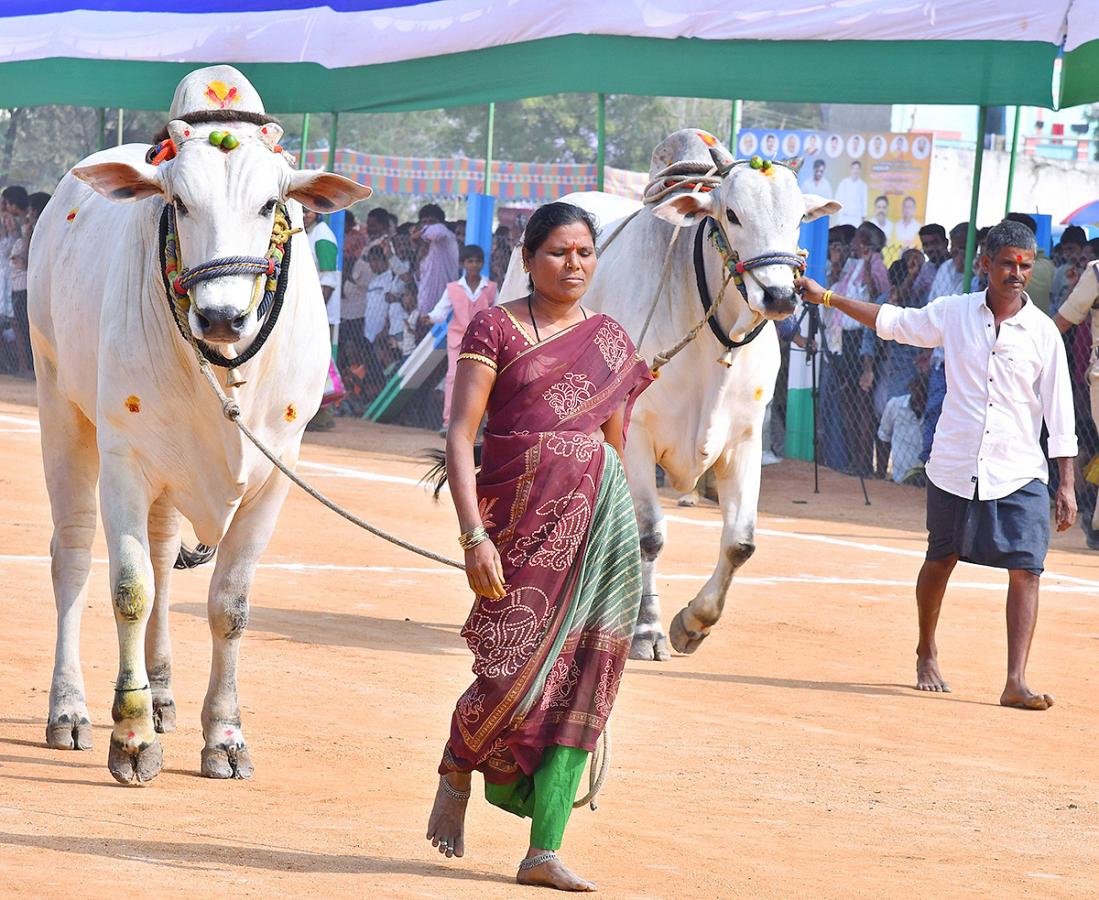 bull_20race_20in_20anantapur_20district-32.jpg 32