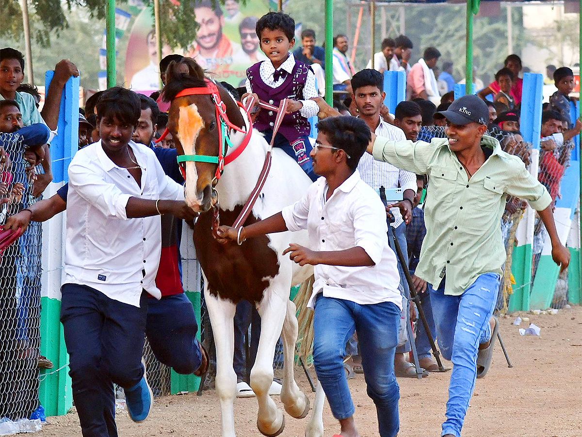 bull_20race_20in_20anantapur_20district-4.jpg 4