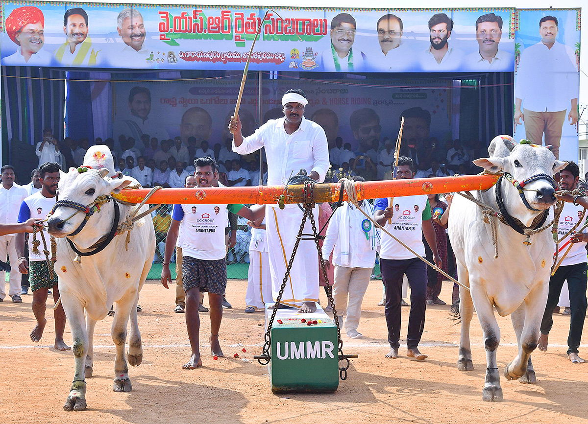 bull_20race_20in_20anantapur_20district-7.jpg 7