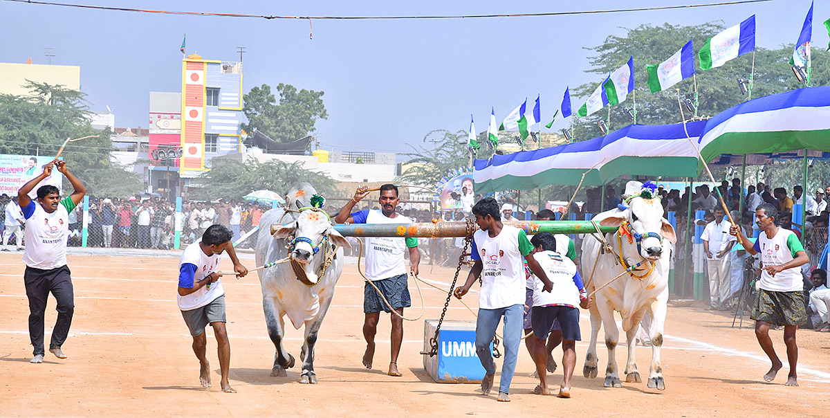 bull_20race_20in_20anantapur_20district-9.jpg 9