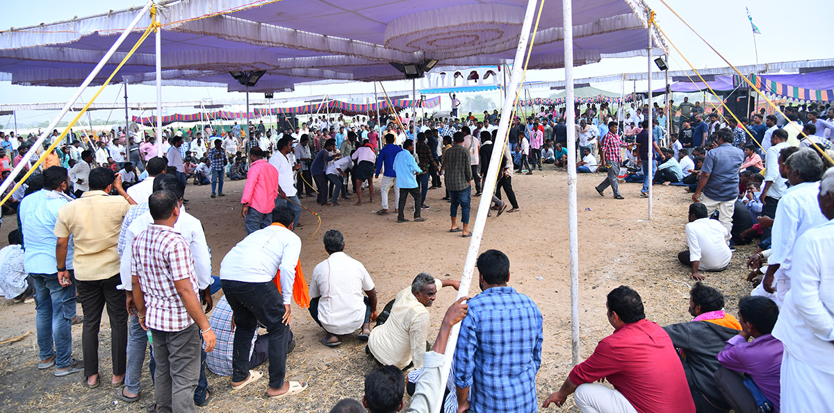 sankranti_20celebration_202024-12.jpg 10