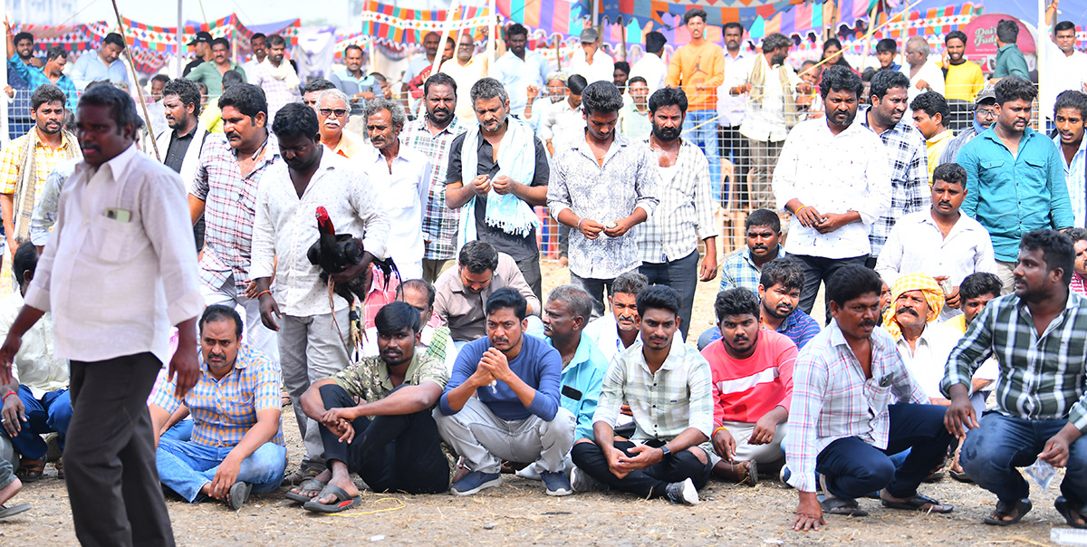 sankranti_20celebration_202024-3.jpg 3
