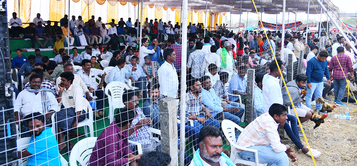 sankranti_20celebration_202024-7.jpg 6