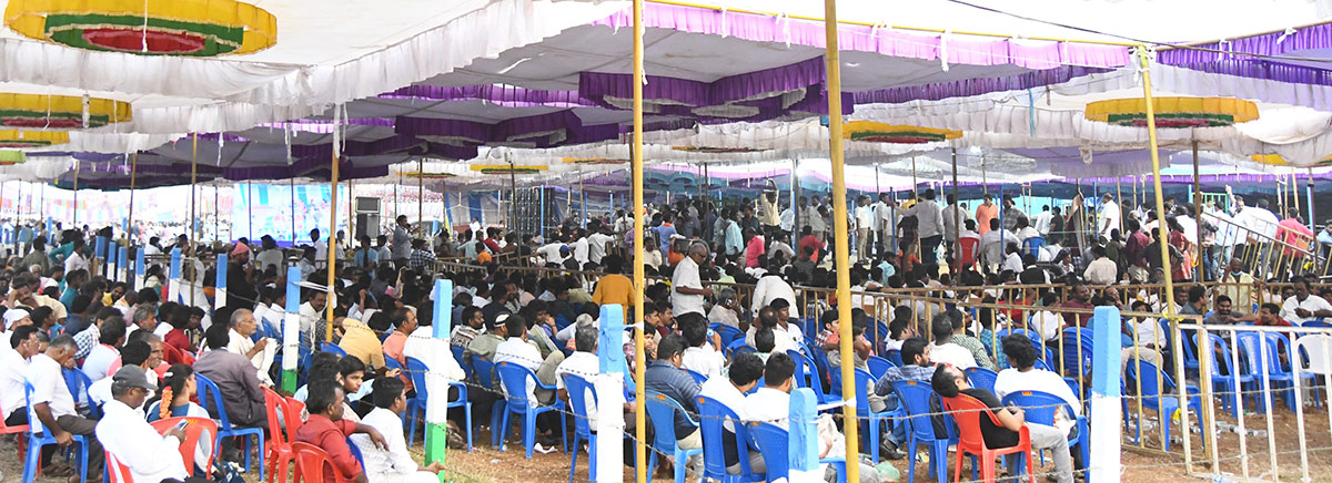 Sankranti_20kodi_20pandalu_20In_20AP-12.jpg 11