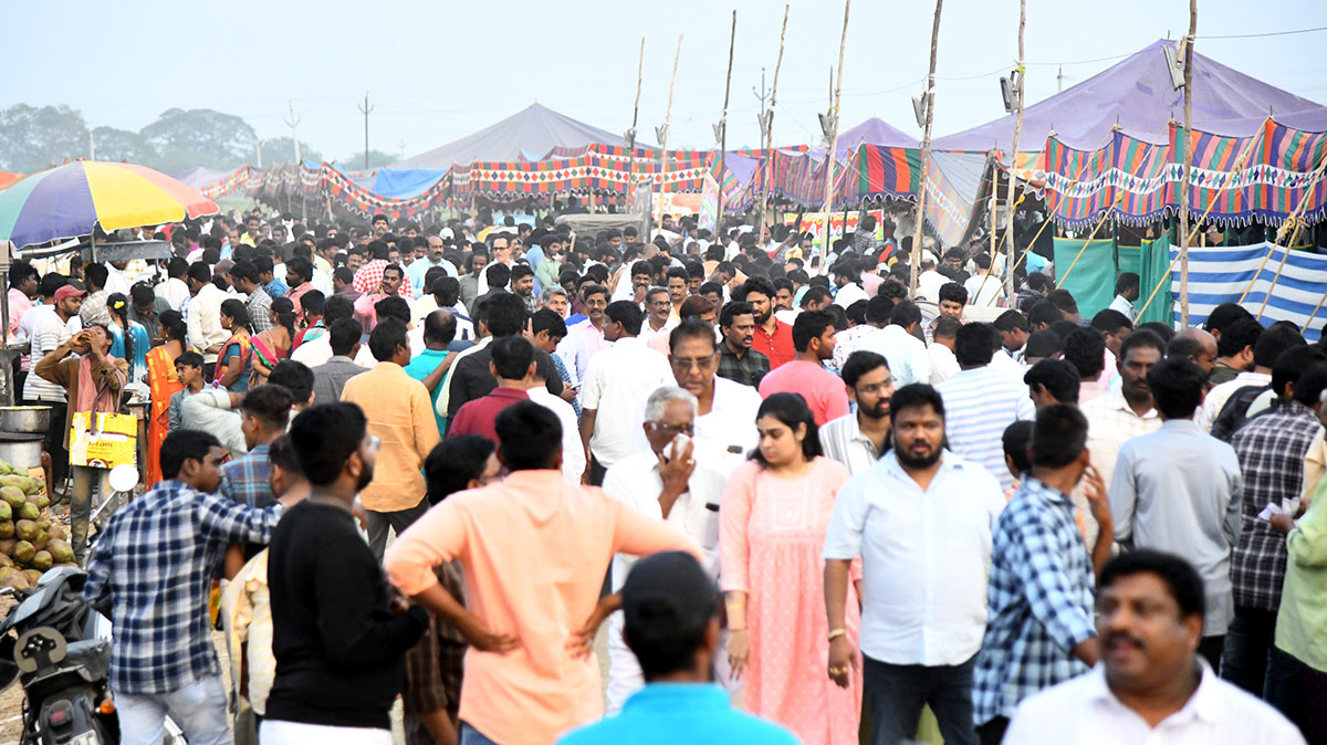 Sankranti_20kodi_20pandalu_20In_20AP-19.jpg 18