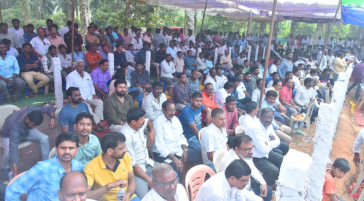 Sankranti_20kodi_20pandalu_20In_20AP-30.jpg 29