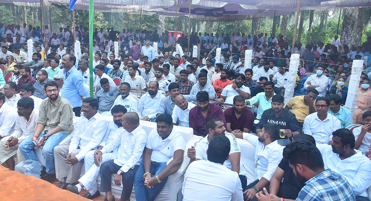 Sankranti_20kodi_20pandalu_20In_20AP-31.jpg 30