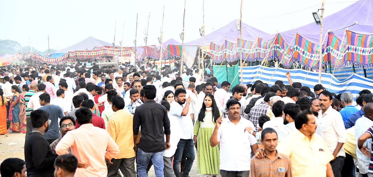 Sankranti_20kodi_20pandalu_20In_20AP-6.jpg 5