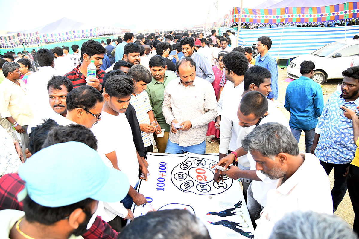 Sankranti_20kodi_20pandalu_20In_20AP-8.jpg 7