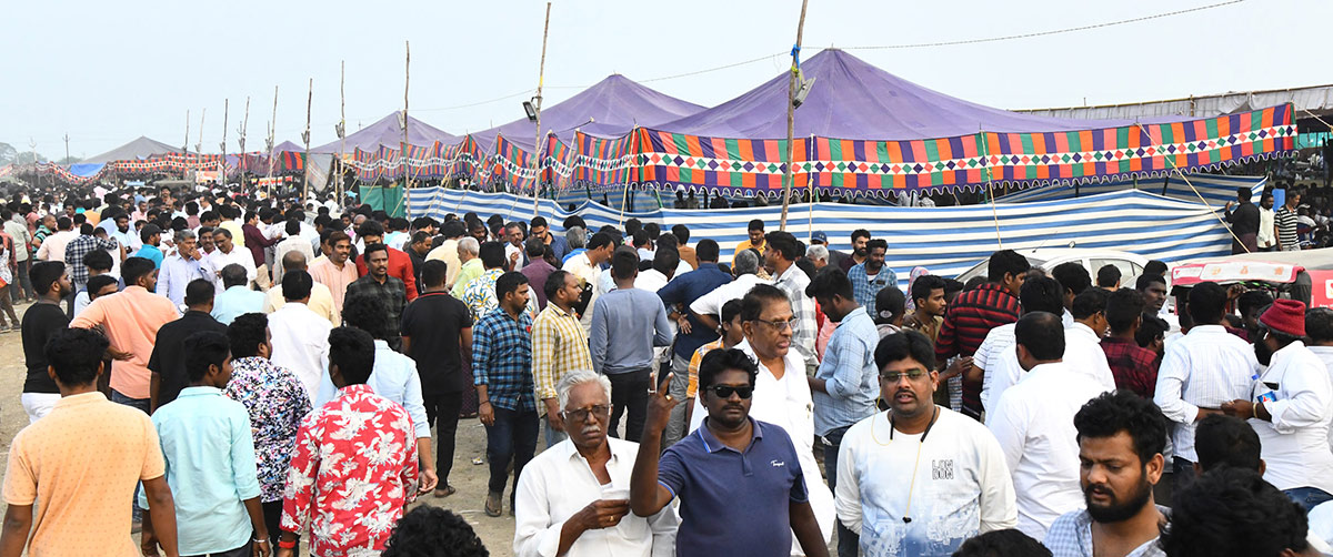 Sankranti_20kodi_20pandalu_20In_20AP-9.jpg 8