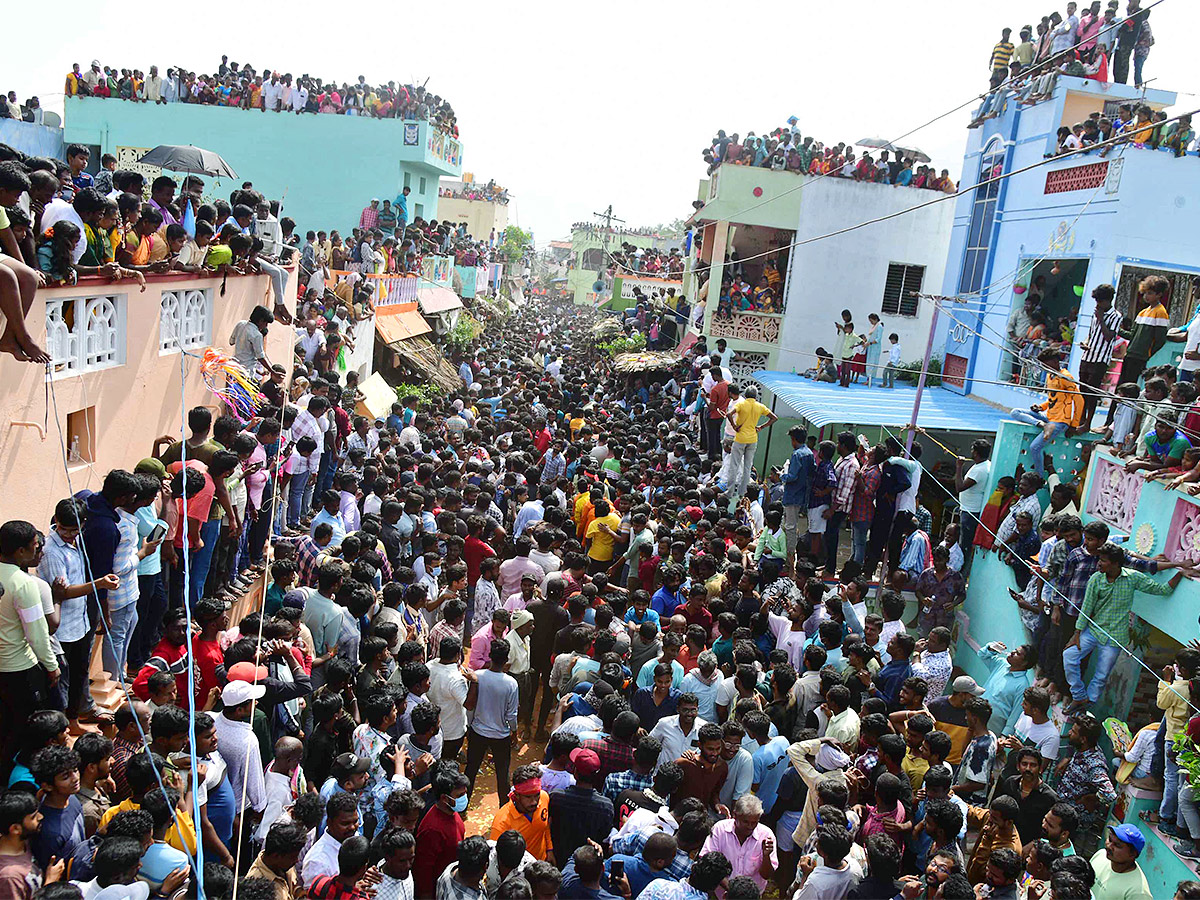 Tirupathi_20Rangampeta_20Bull_20Festival_20Jallikattu_202024_20Photos_20Gallery_20Goes_20Viral-30.jpg 30