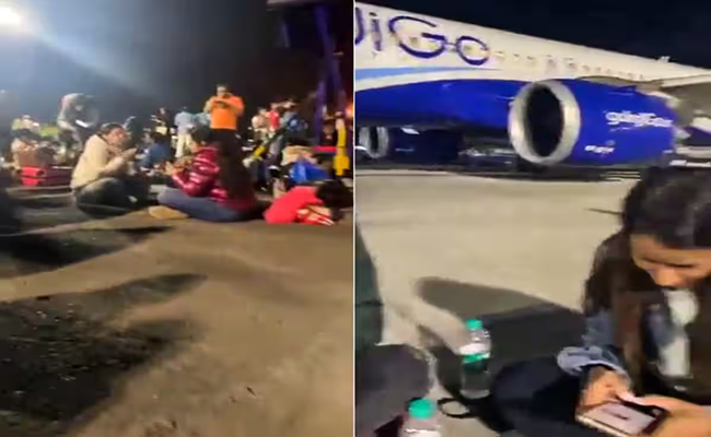 indigo.jpg