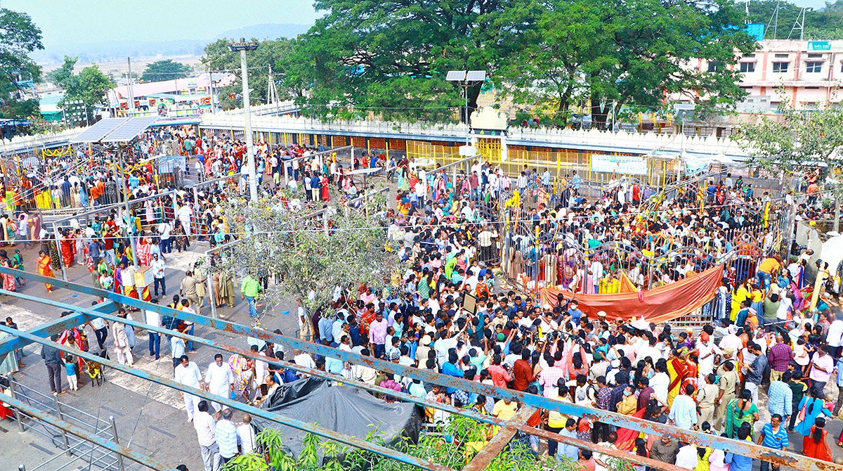 medaram_20Sammakka_20Saralamma_20jatara_202024_20photo-15.jpg 15