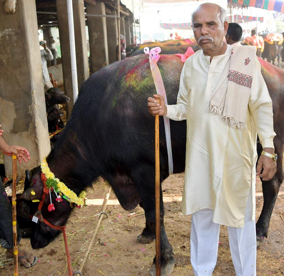 Animal_20Fest_20Pashu_20Sankranthi_20in_20Narsingi_20at_20Hyderabad-43.jpg 41