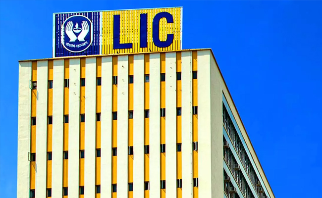 lic.jpg