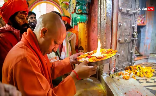 cm-yogi.jpg
