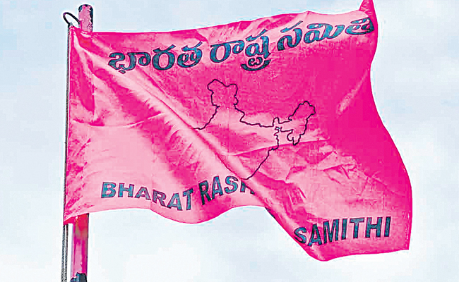 BRS_20PARTY_20FLAG_202.jpg