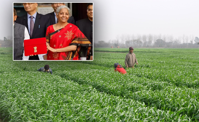 agri0101.jpg