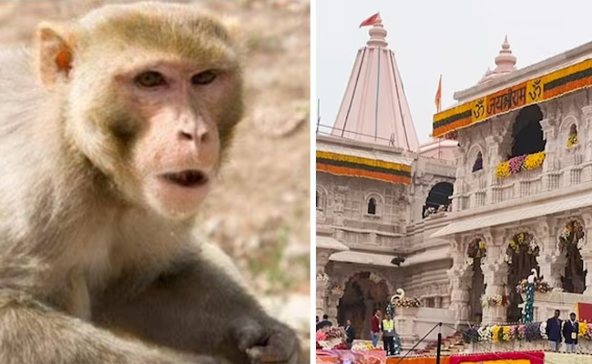 ayodhya_img.jpg