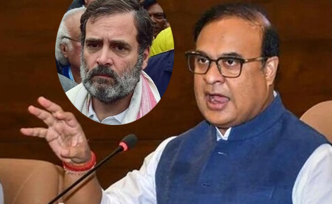 himanta.jpg