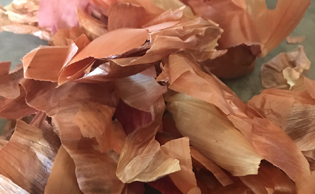 onion_20skin.jpg