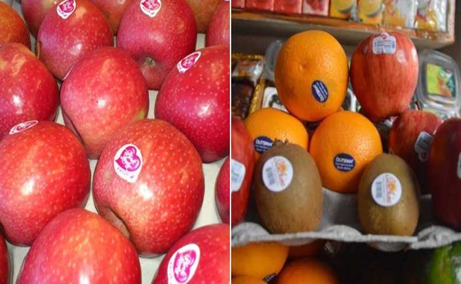 Fruits.jpg