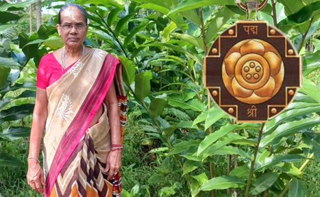 Nariyal_20Amma.jpg