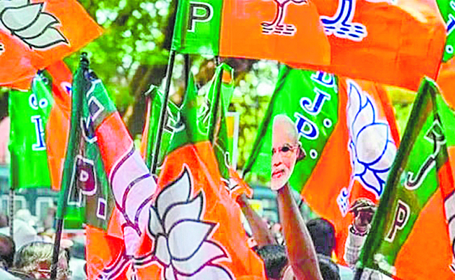 BJP_20PARTY_20FLAGS_2010.jpg