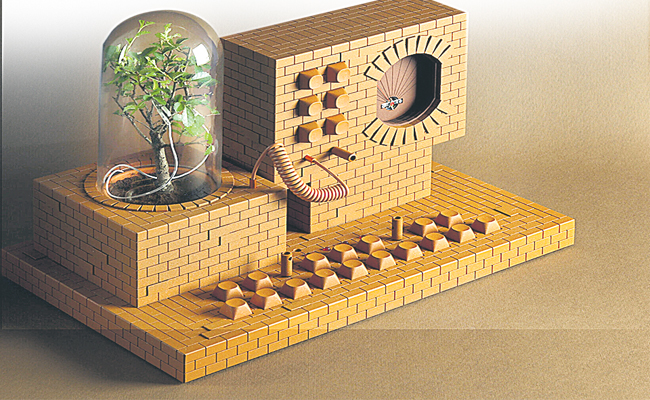 Plant1.jpg