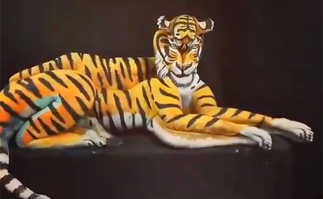 Amazing-animal-body.jpg