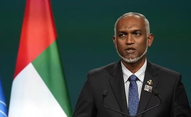 maldives.jpg