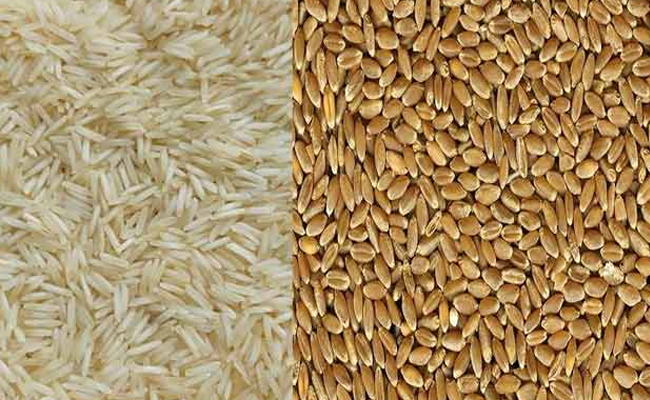 wheatandrice.jpg
