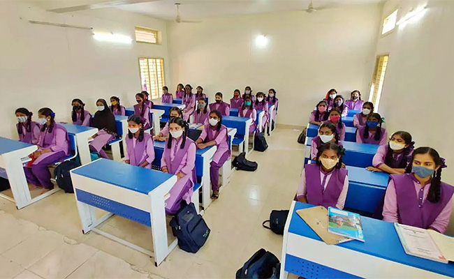 2025_20IB_20Syllabus.jpg