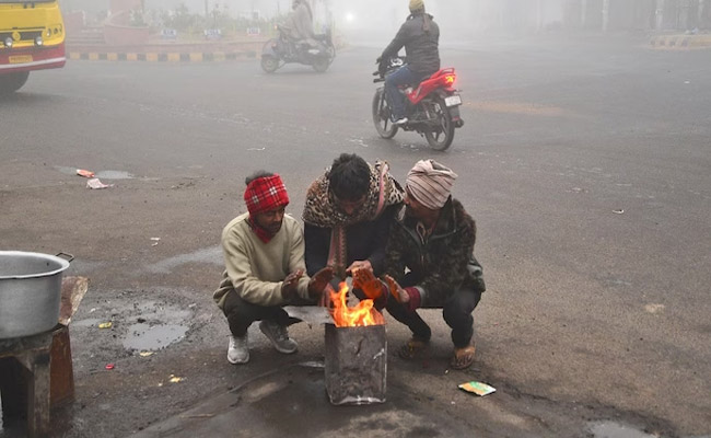 delhi--cold.jpg