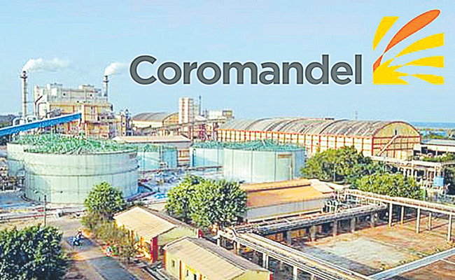 COROMANDEL.jpg