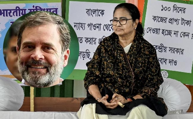 mamata.jpg